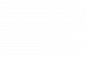 START Rhein-Neckar Logo Metropolregion Rhein-Neckar